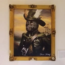 Teyföl Szentendre - Egyéb