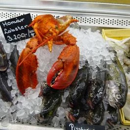 The Big Fish Seafood Bistro Budapest - Étel/ital