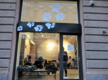 The Dog Bakery Budapest Budapest