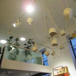 The Dog Bakery Budapest Budapest - Egyéb