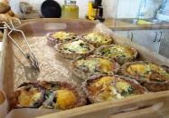 The Hatchery - A Keltető Budapest