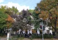 The Rusty Coffee Buda Budapest