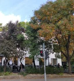 The Rusty Coffee Buda