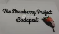 The Strawberry Project Budapest - Egyéb