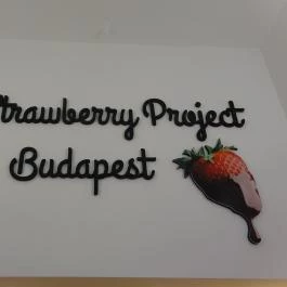 The Strawberry Project Budapest - Egyéb