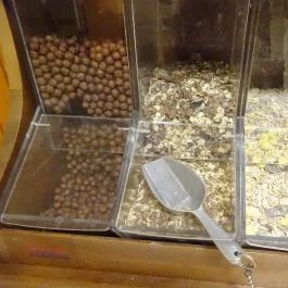 Aqua Hotel Termál Mosonmagyaróvár - Vendéglátás