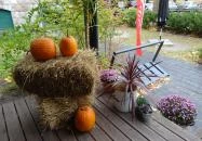 This is Melbourne Too Budapest