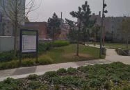 Thurzó park Budapest