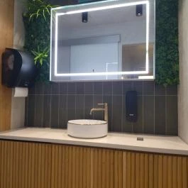 Tigre Budapest - Mosdó