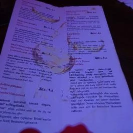 Timi Presszó, Dunaharaszti - Étlap/itallap