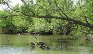 Tisza-tavi Ökocentrum Poroszló - Külső kép
