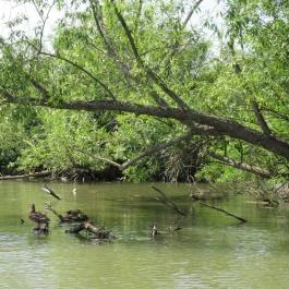Tisza-tavi Ökocentrum Poroszló - Egyéb