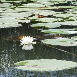 Tisza-tavi Ökocentrum Poroszló - Egyéb