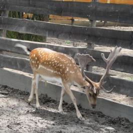 Tisza-tavi Ökocentrum Poroszló - Egyéb