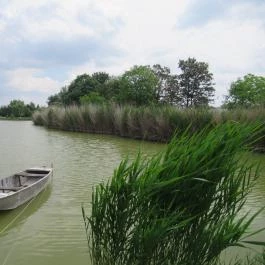 Tó Csárda, Komárom - Egyéb