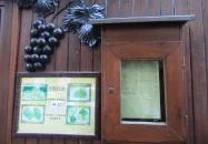 Tokaji Borozó Budapest