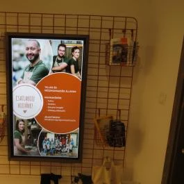 Tökmag Vegan Street Food Budapest - Egyéb