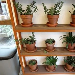 Tökmag Vegan Street Food Budapest - Egyéb