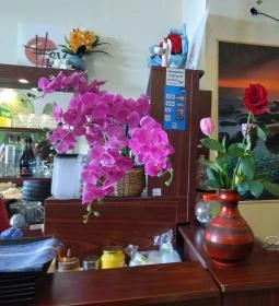 Tokymon Sushi & Asian Cuisine