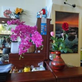 Tokymon Sushi & Asian Cuisine Budapest - Belső