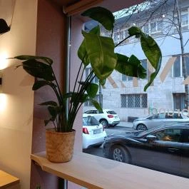 Törökméz Budapest - Belső