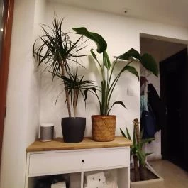 Törökméz Budapest - Belső