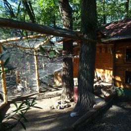 Törökmező Kalandpark Nagymaros - Egyéb