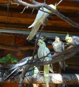 Törökmező Kalandpark