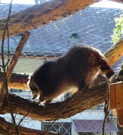 Törökmező Kalandpark