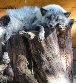 Törökmező Kalandpark