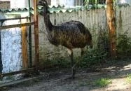 Törökmező Kalandpark Nagymaros