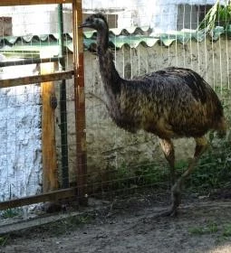 Törökmező Kalandpark