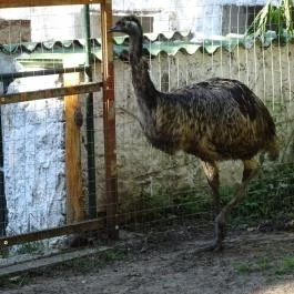 Törökmező Kalandpark Nagymaros - Egyéb