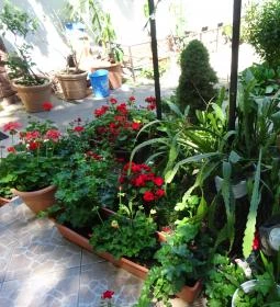 Törökmezői Turistaház Étterme