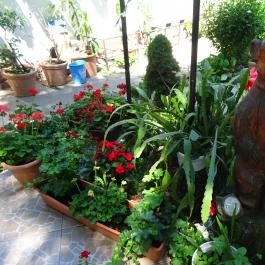 Törökmezői Turistaház Étterme, Nagymaros - Egyéb