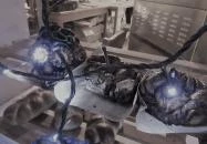 Tortuga & Pohánka Budapest