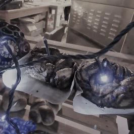 Tortuga & Pohánka Budapest - Egyéb