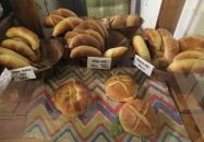 Tortuga & Pohánka Budapest