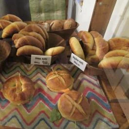 Tortuga & Pohánka Budapest - Egyéb