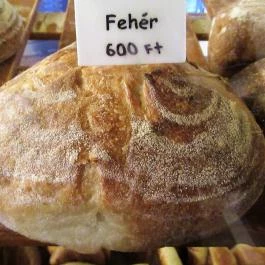 Tortuga & Pohánka Budapest - Egyéb