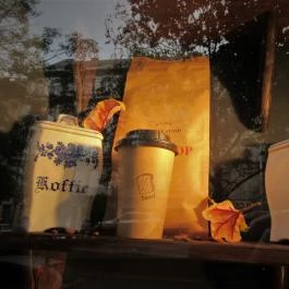 Tosti Budapest - Egyéb