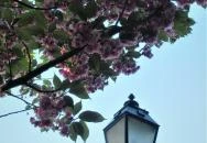 Tóth Árpád sétány Budapest