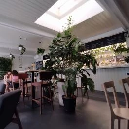 Trafik, Budapest - Egyéb