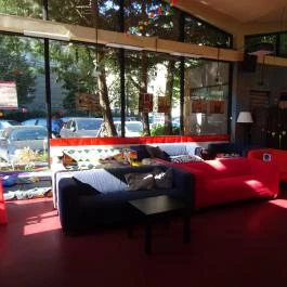 Tranzit Art Café & Bistro Budapest - Belső