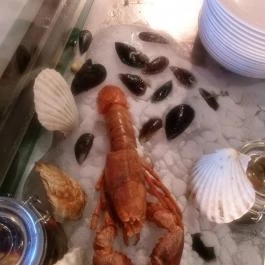 Trófea Grill Étterem - Buda, Budapest - Étel/ital