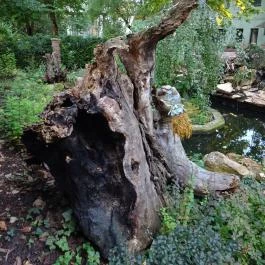 Trojka Hotel Szolnok - Medence/kert