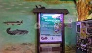 Tropicarium Budapest - 