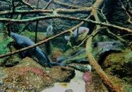 Tropicarium Budapest