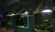 Tropicarium Budapest - 