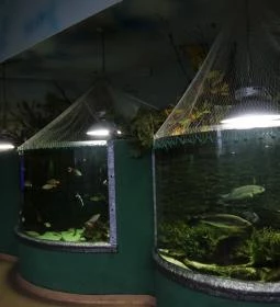 Tropicarium